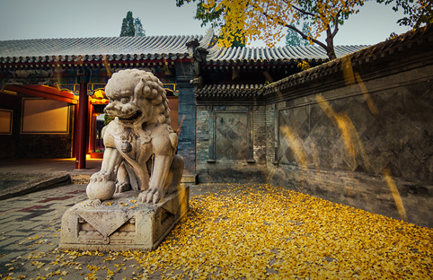 91精品国产自产在线老师啪