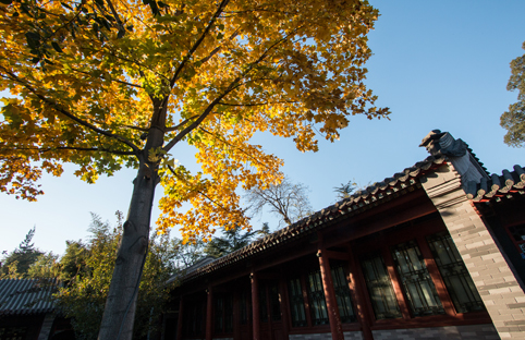 91精品国产自产在线老师啪