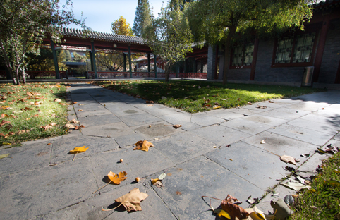 91精品国产自产在线老师啪