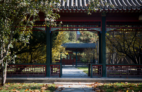 91精品国产自产在线老师啪