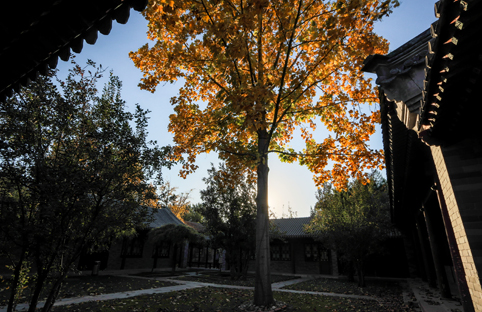 91精品国产自产在线老师啪