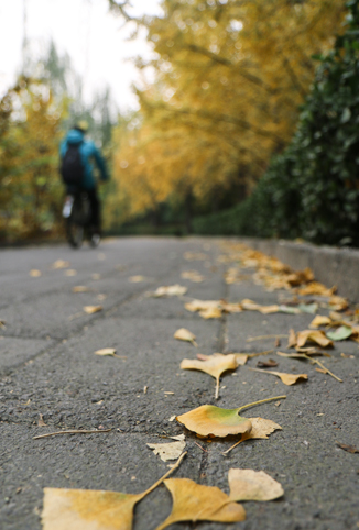 91精品国产自产在线老师啪