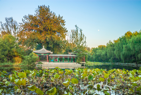 91精品国产自产在线老师啪