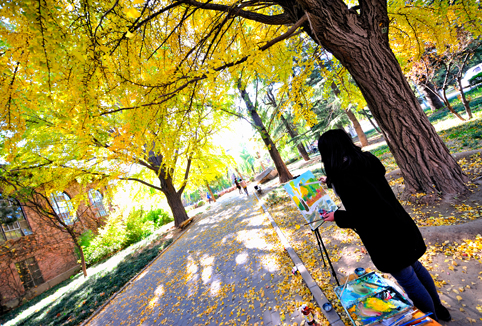 91精品国产自产在线老师啪