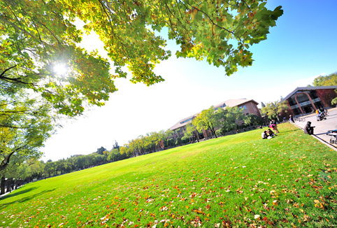 91精品国产自产在线老师啪