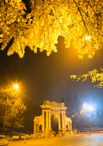 91精品国产自产在线老师啪