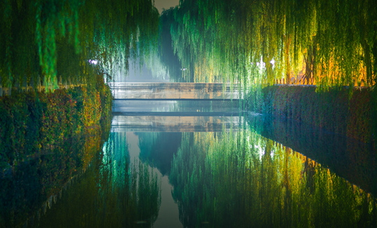 91精品国产自产在线老师啪