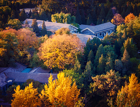 91精品国产自产在线老师啪