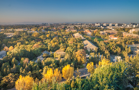 91精品国产自产在线老师啪