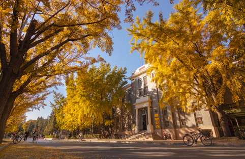 91精品国产自产在线老师啪