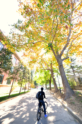 91精品国产自产在线老师啪