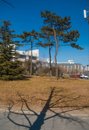 91精品国产自产在线老师啪