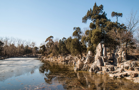 91精品国产自产在线老师啪