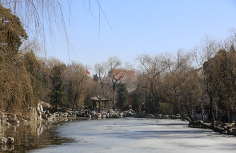 91精品国产自产在线老师啪