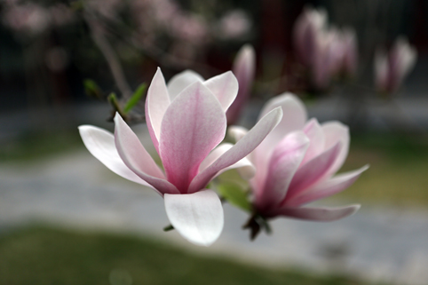 91精品国产自产在线老师啪