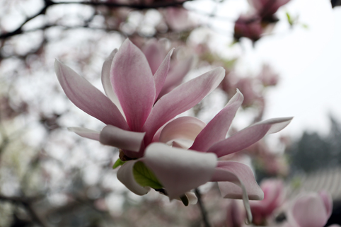 91精品国产自产在线老师啪