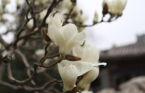 91精品国产自产在线老师啪