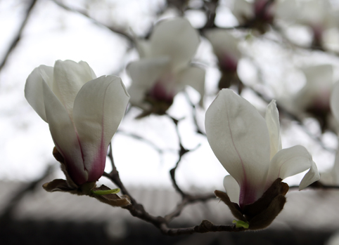 91精品国产自产在线老师啪
