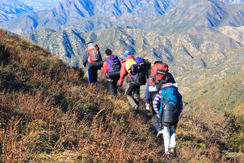 91精品国产自产在线老师啪