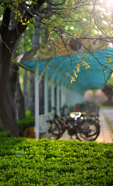 91精品国产自产在线老师啪