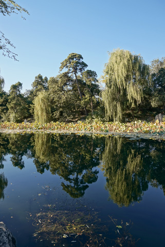 91精品国产自产在线老师啪