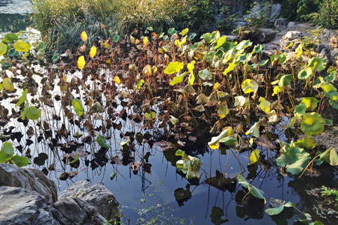 91精品国产自产在线老师啪