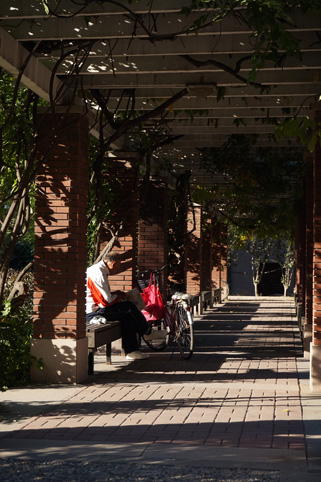 91精品国产自产在线老师啪