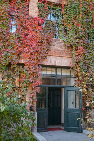 91精品国产自产在线老师啪