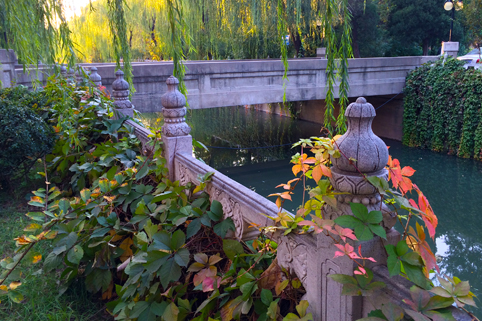 91精品国产自产在线老师啪