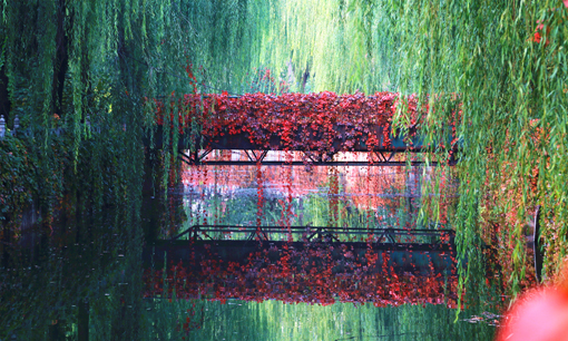 91精品国产自产在线老师啪