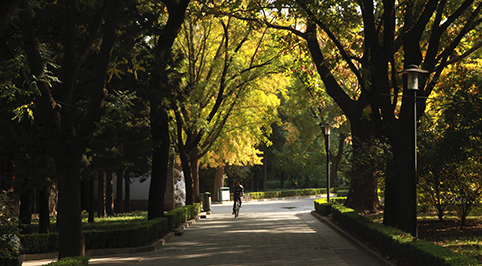 91精品国产自产在线老师啪