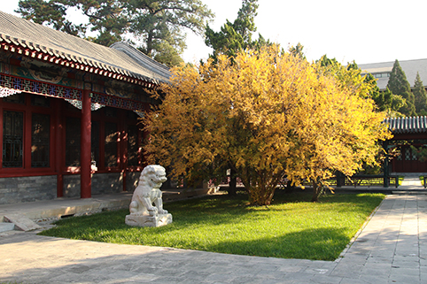 91精品国产自产在线老师啪