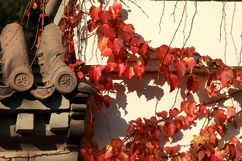 91精品国产自产在线老师啪