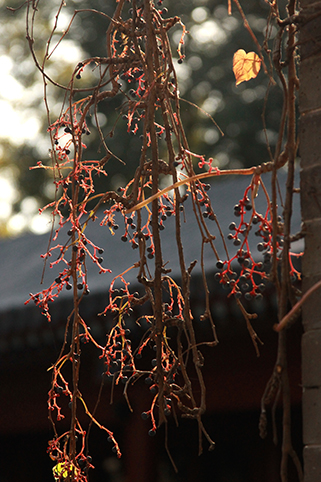 91精品国产自产在线老师啪