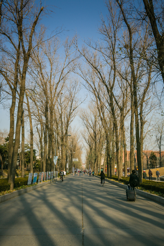 91精品国产自产在线老师啪