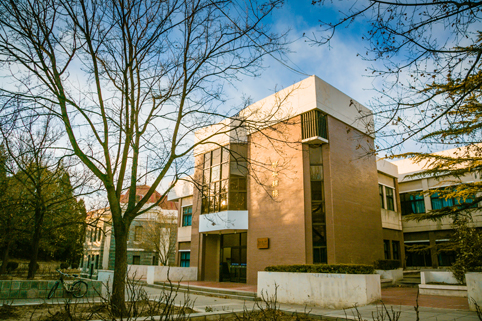 91精品国产自产在线老师啪