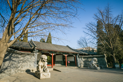 91精品国产自产在线老师啪