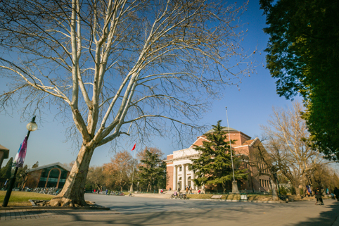 91精品国产自产在线老师啪