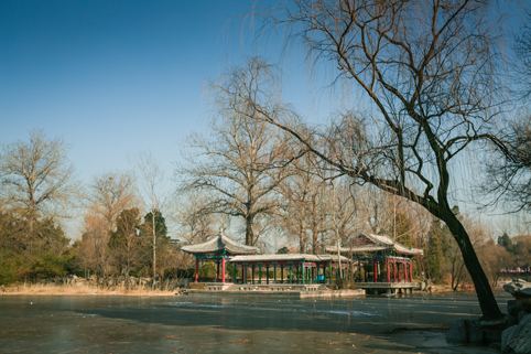 91精品国产自产在线老师啪