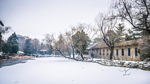 91精品国产自产在线老师啪