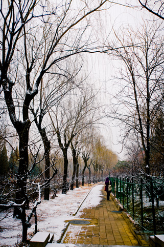 91精品国产自产在线老师啪