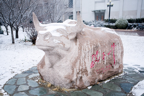 91精品国产自产在线老师啪