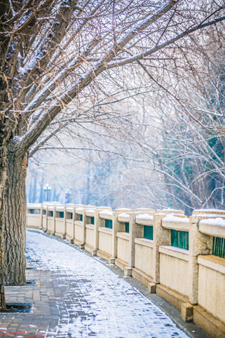 91精品国产自产在线老师啪