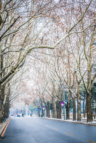 91精品国产自产在线老师啪