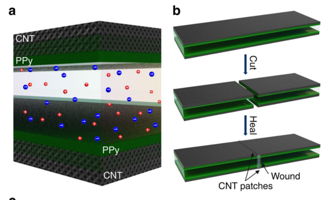 91精品国产自产在线老师啪