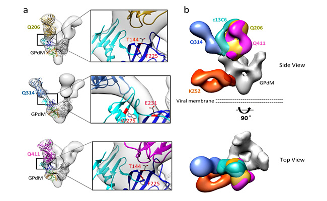 91精品国产自产在线老师啪