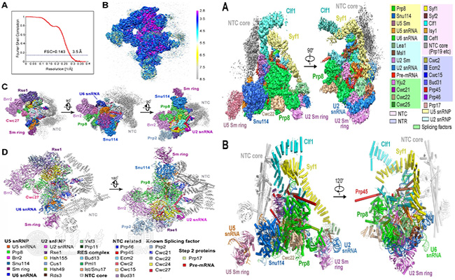 91精品国产自产在线老师啪