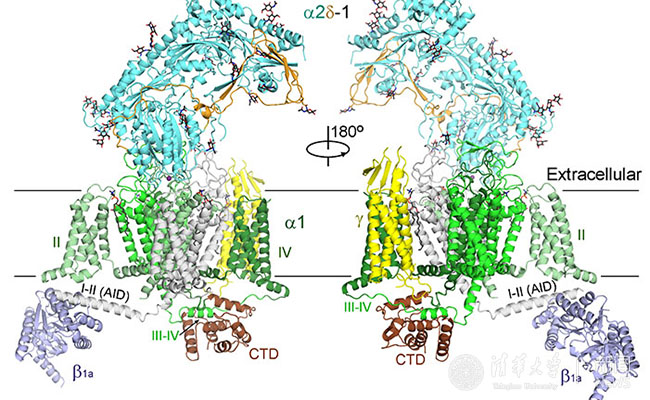 91精品国产自产在线老师啪