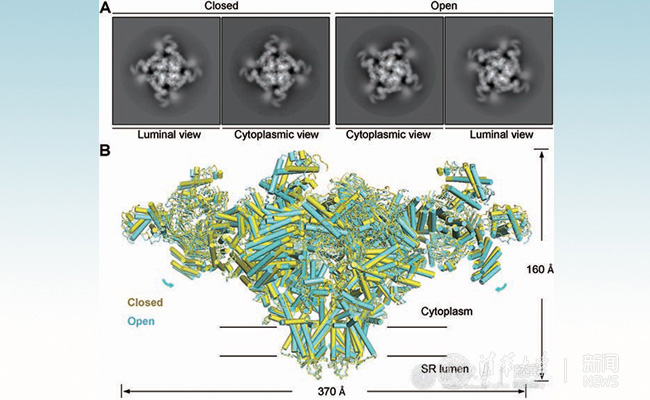 91精品国产自产在线老师啪