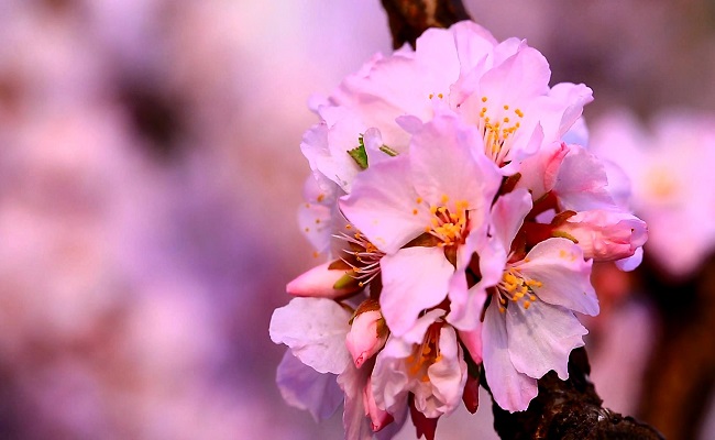 91精品国产自产在线老师啪